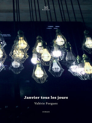 cover image of Janvier tous les jours